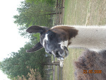 Fotoblog serwandes333