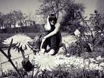 Fotoblog susieek