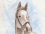 Fotoblog agata094