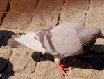 Fotoblog ewelka561