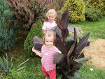 Fotoblog giulia02