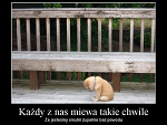 Fotoblog mevaaa