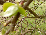 Fotoblog olciak98