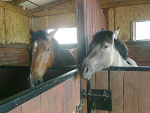 Fotoblog wiktorkapp