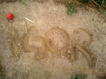 Fotoblog eli022
