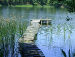 Fotoblog natuska134