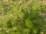 Fotoblog sylwiatko1