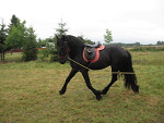 Fotoblog danaos