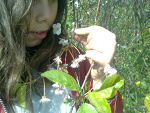Fotoblog karolaaa5