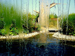 Fotoblog ezraa