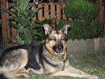 Fotoblog weronika1267412674