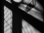 Fotoblog majk28