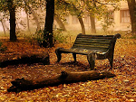 Fotoblog xzauroczona