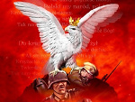 Fotoblog sargus14