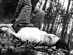 Fotoblog sourcetears
