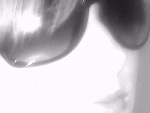 Fotoblog natalkaaa2