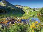 Fotoblog redhope