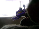 Fotoblog enbe22
