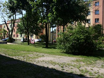 Fotoblog myszkownivea