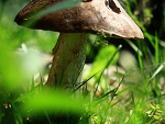Fotoblog izaada00