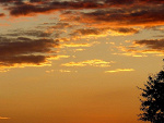 Fotoblog gabulla