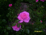 Fotoblog dawid1598