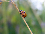 Fotoblog aniaaa33