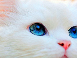 Fotoblog bestmemoriesx3