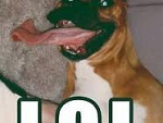 Fotoblog malinkowaaaaaaa