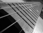 Fotoblog guciek15