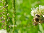 Fotoblog justynapiat