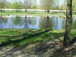 Fotoblog zula123453