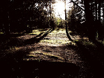 Fotoblog vliegendehollander