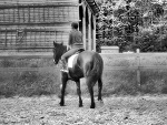 Fotoblog loorencowa