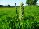 Fotoblog rampus