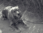Fotoblog lisettemarie