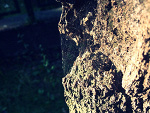 Fotoblog karinka1804