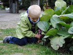 Fotoblog 040806
