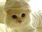 Fotoblog koniaraaa