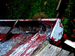Fotoblog raonbietrat