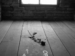 Fotoblog opis1