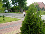 Fotoblog kaaaamiila