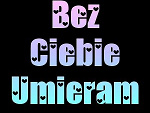 Fotoblog wikunia10