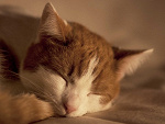 Fotoblog kleks985