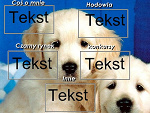 Fotoblog magdamaja98