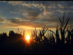 Fotoblog browneyes18