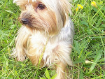 Fotoblog mateusz25431