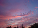 Fotoblog dontfuckwithme
