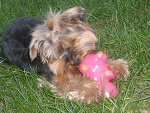Fotoblog zuza111129