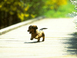 Fotoblog aragorn275